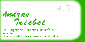 andras triebel business card